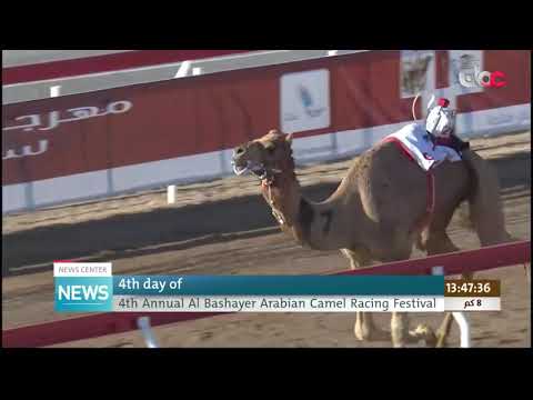 4th day of 4th Annual Al Bashayer Arabian Camel Racing Festival