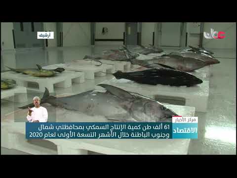 61 ألف طن كمية الإنتاج السمكي بمحافظتي شمال وجنوب الباطنة خلال الأشهر التسعة الأولى لعام 2020