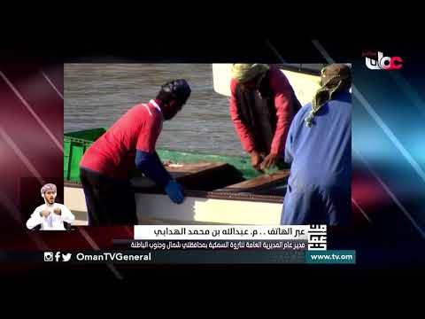 الإنتاج السمكي بمحافظتي شمال وجنوب الباطنة