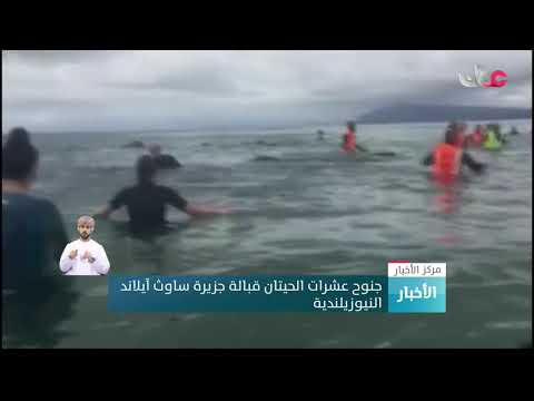 جنوح عشرات الحيتان قبالة جزيرة ساوث آيلاند النيوزيلندية