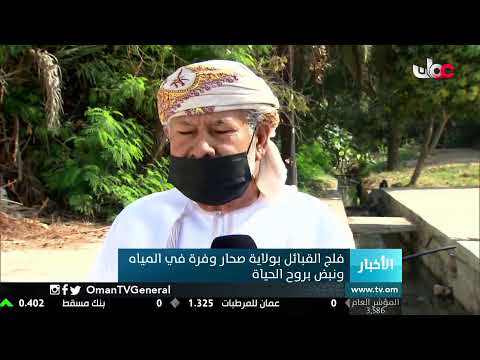 #أخبار_الثانية ظهرا | الأربعاء 24 فبراير 2021م