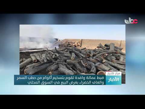 ضبط عمالة وافدة تقوم بتسخيم أكوام من حطب السمر والغاف الخضراء بغرض البيع في السوق المحلي