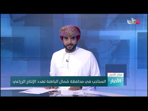 م.راشد الجابري: تتكاثر السناجب في محافظتي شمال وجنوب الباطنة وتؤثر على المحاصيل الزراعية والطيور