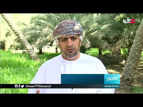 #أخبار الحادية عشرة صباحا | الأربعاء 3 فبراير 2021م