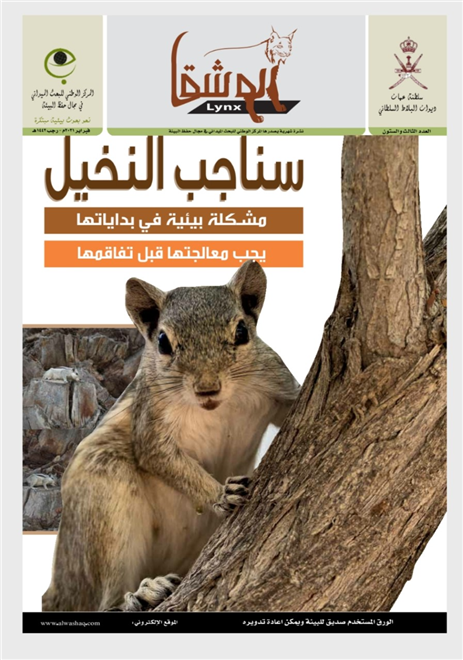 إصدار جديد لنشرة الوشق تناول مشكلة سناجب النخيل