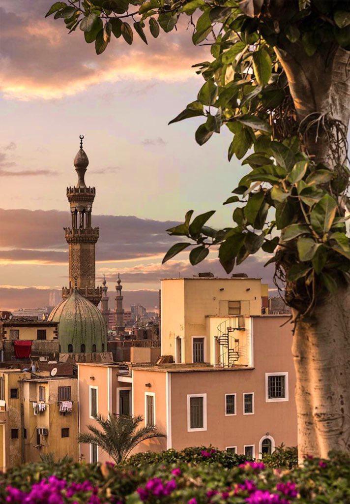 العلامة الزيات.. الكفيف الذي علّم البصراء 2 IMG 20210316 WA0009