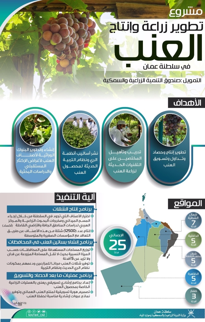 وزارة الثروة الزراعية والسمكية وموارد المياه تنفذ مشروع تطوير زراعة وإنتاج العنب في السلطنة