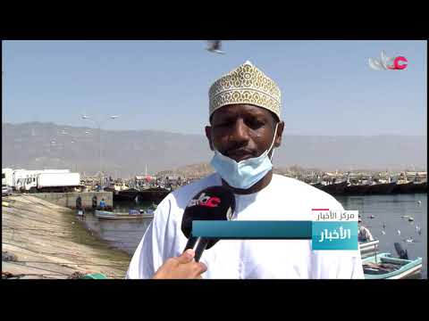 تواصل موسم صيد الشارخة بسواحل السلطنة حتى نهاية مايو القادم