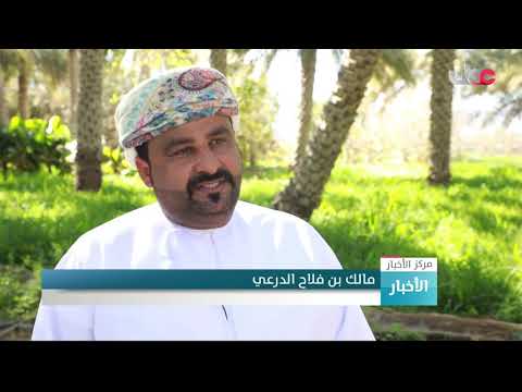 السلطنة تتوسع في إنتاج العنب بعدة محافظات