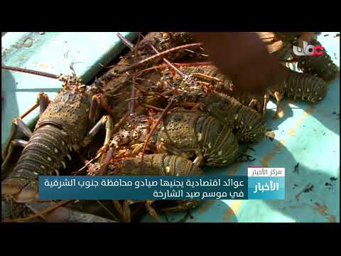 عوائد اقتصادية يجنيها صيادو محافظة جنوب الشرقية في موسم صيد الشارخة
