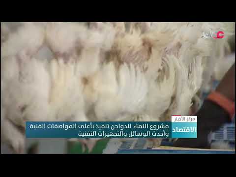 مشروع النماء للدواجن .. تنفيذ بأعلى المواصفات الفنية وأحدث الوسائل والتجهيزات التقنية