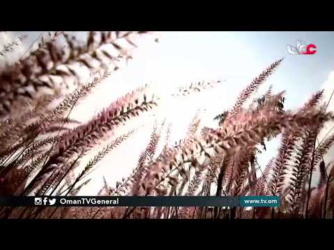 #كيان | الجمعة 12 مارس 2021م