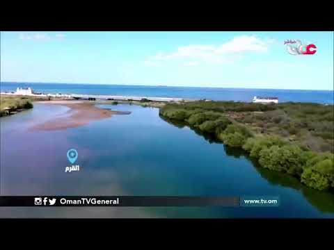 #قهوة_الصباح | الإثنين 29 مارس 2021م