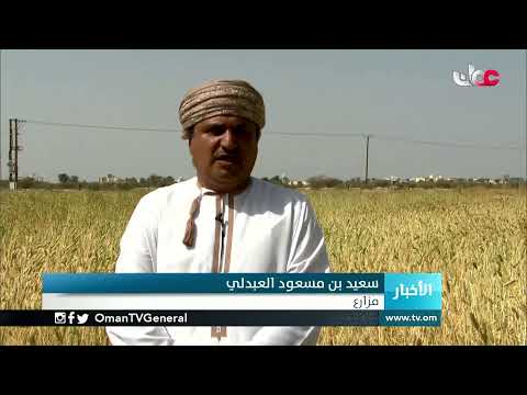 #أخبار_الخامسة | السبت 13 مارس 2021م