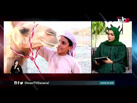 اللائحة التنفيذية لقانون مزاولة المهن الطبية البيطرية