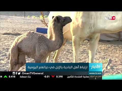 #أخبار_الثانية ظهرا | الخميس 4 مارس 2021م