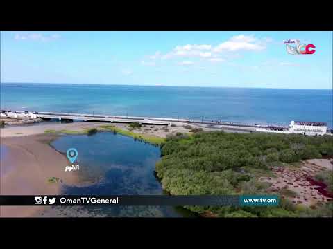 #قهوة_الصباح | الأحد 7 مارس 2021م