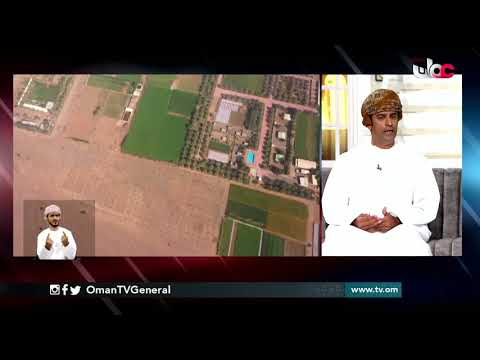 مشروع إنشاء حقول نموذجية لاشجار نخيل التمر والامبا والليمون