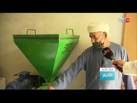 قصة نجاح تجربة زراعة الأرز في ولاية دبا بمحافظة مسندم