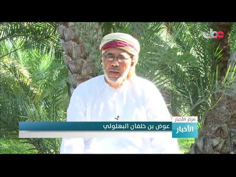 قرية طهوة إحدى قرى ولاية الكامل والوافي تمتاز بالأفلاج القديمة والمحاصيل الزراعية