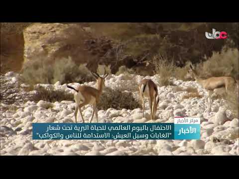 الاحتفال باليوم العالمي للحياة البرية تحت شعار “الغابات وسبل العيش: الاستدامة للناس والكواكب”