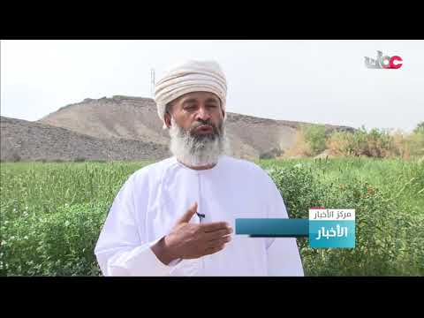 مشاريع الري الحديثة بدائل لشح المياه في القرى الزراعية التي تروى بالأفلاج بمحافظة الظاهرة