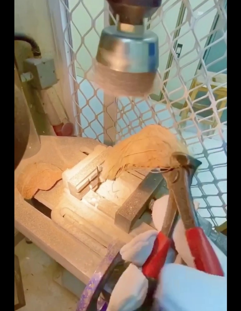 مشروع طلابي من جامعة السلطان قابوس يفوز في منافسات تحدي الابتكار لريادة الأعمال لعام 2021