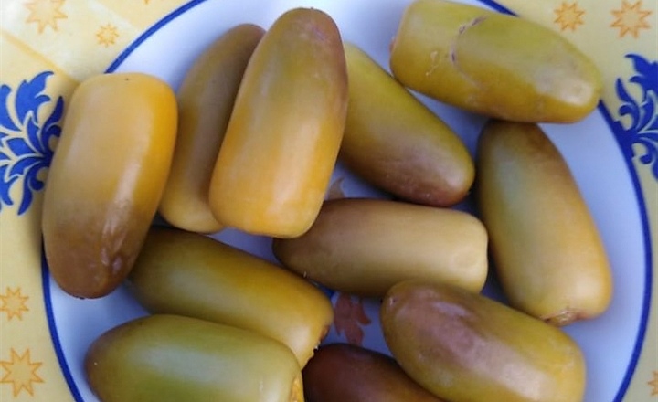 “الخزيفة والنغال” أول تباشير القيظ في دماء والطائيين