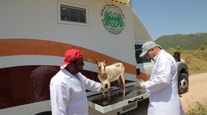 دراسة بحثية علمية حول التوصيف الوراثي لسلالات الضأن العماني