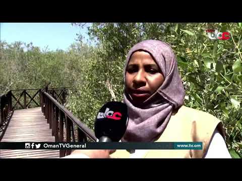 أراضي السلطنة تنوع بيئي ومنطقة آمنة لعبور الطيور المهاجرة