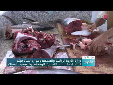 وزارة الثروة الزراعية والسمكية وموارد المياه تؤكد استعدادها لبرنامج التسويق الرمضاني والصيفي للأسماك