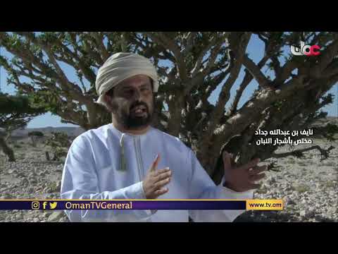 مكان وأثر | الجمعة 3 #رمضان 1442 هـ