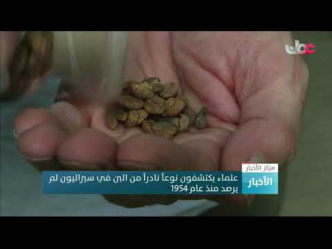 علماء يكتشفون نوعاً نادراً من البن في سيراليون لم يرصد منذ عام 1954