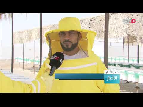 النحالون العمانيون علاقة وثيقة بتربية النحل وسعي لرفع جودة الإنتاج وطرق الترويج