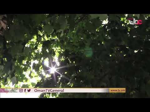 #قهوة_الصباح | الاثنين 17 مايو 2021م