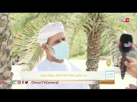 بدء تباشير قيظ نخلة النغال بولاية نزوى