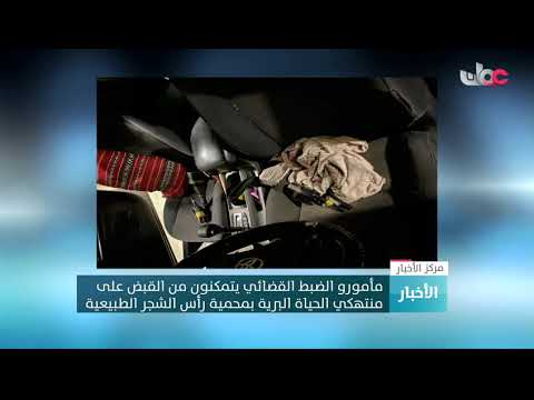 القبض على أحد منتهكي الحياة البرية بمحمية رأس الشجر الطبيعية