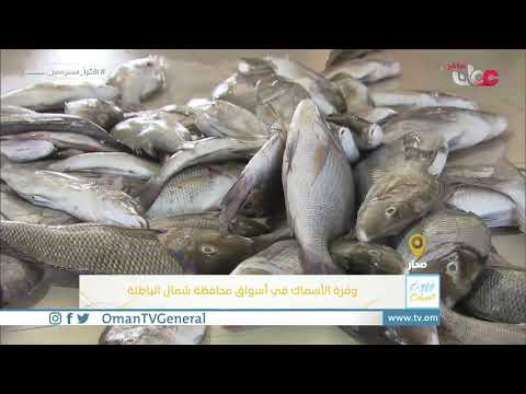 ربط مباشر من ولاية #صحار للحديث حول وفرة الأسماك في أسواق محافظة شمال الباطنة