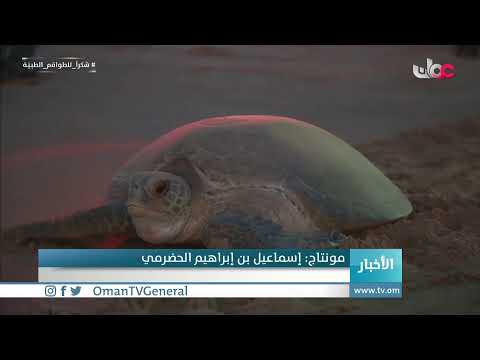 #أخبار_الثانية ظهرا | السبت 22 مايو 2021م
