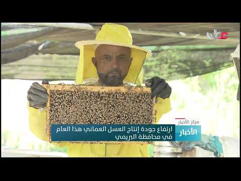 ارتفاع جودة إنتاج العسل العماني هذا العام في محافظة البريمي