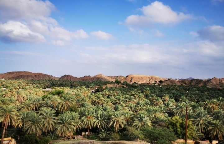 قرية الغيزين بولاية الخابورة.. بُعدٌ تاريخيٌ ومعالم أثرية