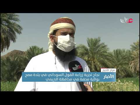 نجاح تجربة زراعة الفول السوداني في بلدة مصح بولاية محضة في محافظة البريمي