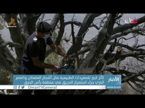 #أخبار_العاشرة | الخميس 17 يونيو 2021م