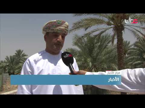 جهود حكومية وأهلية ساهمت في إحياء فلج البريمي