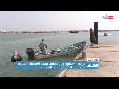 قرابة 44 مليون ريال عماني قيمة الأسماك المنزلة في السلطنة خلال مارس الماضي