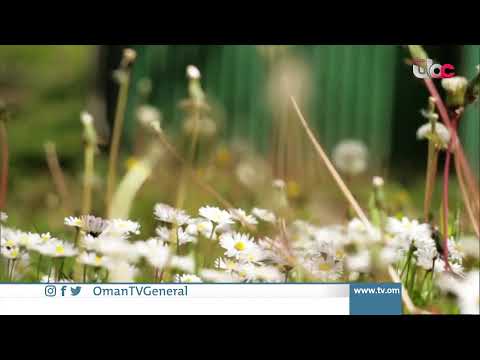 #قهوة_الصباح‬⁩ | بث مباشر من مركز عمان للمؤتمرات و ال…