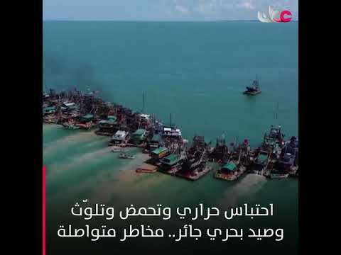 تعيش النظم البحرية في محيطات العالم تدهورا متواصلا، في مشهد وصفته التقارير الدولية