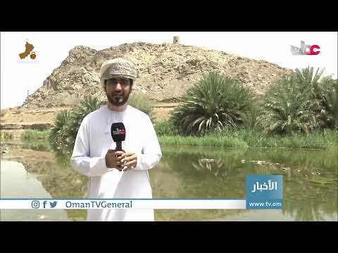 #أخبار_الخامسة | الجمعة 25 يونيو 2021م