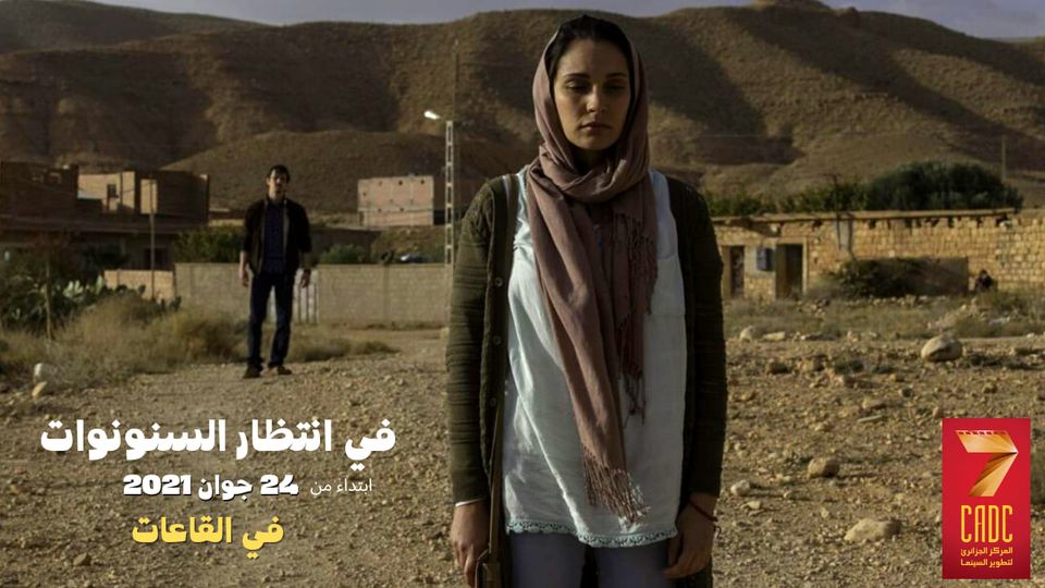 في انتظار السنونوات وأبو ليلى.. في دور العرض الجزائرية   ..النشرة الثقافية..