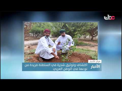 اكتشاف وتوثيق شجرة في السلطنة فريدة من نوعها في الوطن العربي